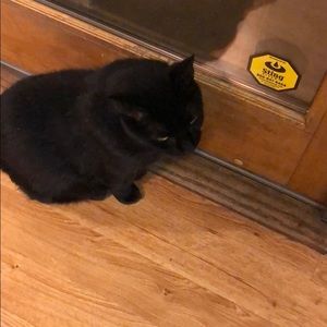 Meet your Posher, Richard